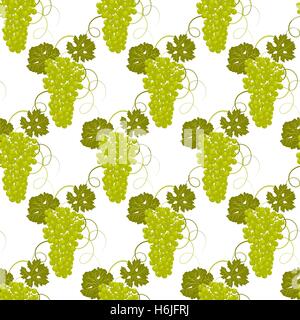 Seamless pattern of hand-drawing a bunch of green grapes with leaves on a white background vector Stock Vector