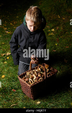 Child  boy pick mushrooms in green forest, kids outdoor activities Stock Photo