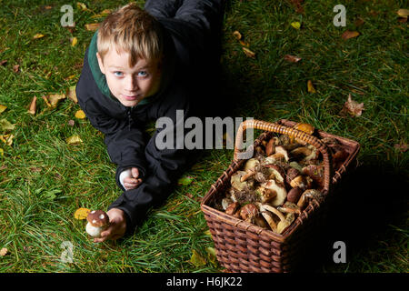 Child  boy pick mushrooms in green forest, kids outdoor activities Stock Photo