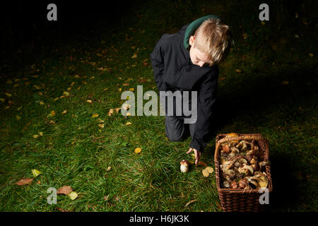 Child  boy pick mushrooms in green forest, kids outdoor activities Stock Photo