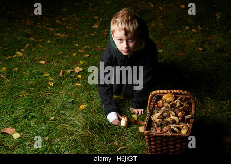 Child  boy pick mushrooms in green forest, kids outdoor activities Stock Photo