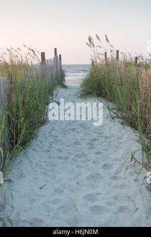 Path Over The Dunes in early morning Stock Photo