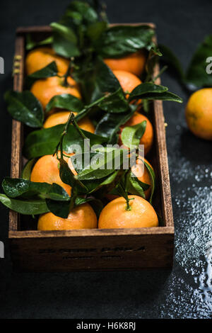 Fresh tangerines in wooden crate on dark background Stock Photo