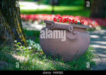 Flowerpot in the Park Stock Photo