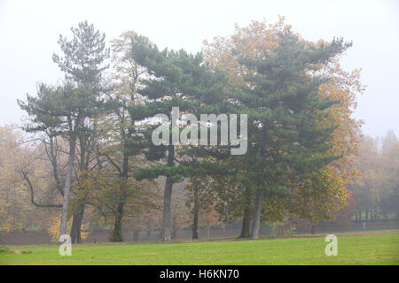 UK Weather - North London 31 Oct 2016 - Foggy and misty morning in Finsbury Park, North London Credit:  Dinendra Haria/Alamy Live News Stock Photo