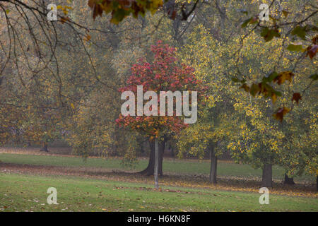 UK Weather - North London 31 Oct 2016 - Foggy and misty morning in Finsbury Park, North London Credit:  Dinendra Haria/Alamy Live News Stock Photo