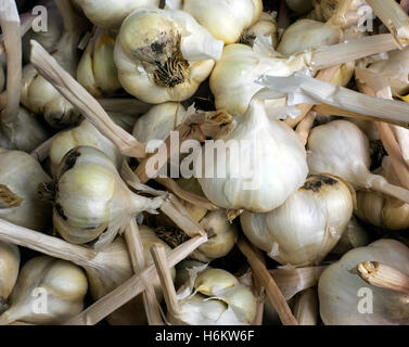 fresh garlics in a market Stock Photo