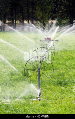 Agricultural Irrigation Wheel Line Sprinkler Stock Photo