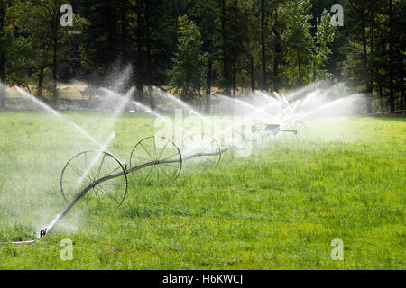 Agricultural Irrigation Wheel Line Sprinkler Stock Photo