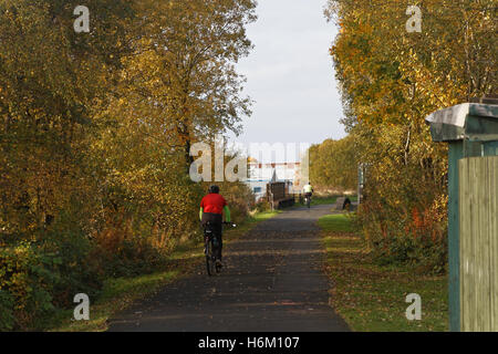 Cyclist on bike Forth and Clyde canal, Glasgow Autumnal trees Stock Photo