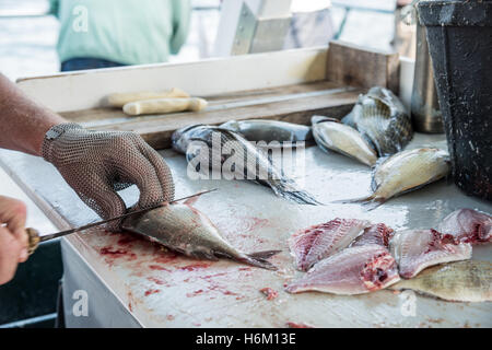 man filleting salmon at fish cleaning station Stock Photo - Alamy