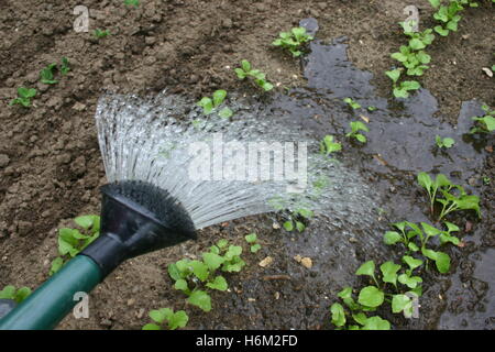 other profession business Stock Photo