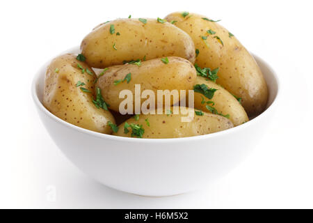 Shiny boiled small potatoes with parsley in bowl. Stock Photo