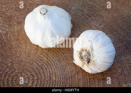Closeup photo of two large garlic on a wooden background Stock Photo