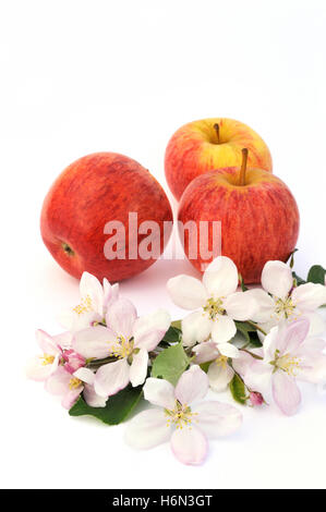 fruits vegetables Stock Photo