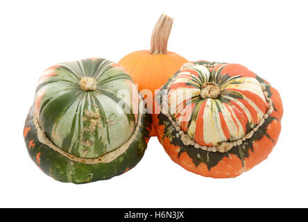 Two Turks turban squash with a small orange pumpkin, isolated on a white background Stock Photo