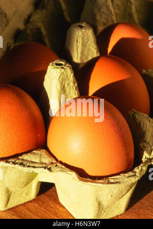 fresh eggs from supermarket UK Stock Photo