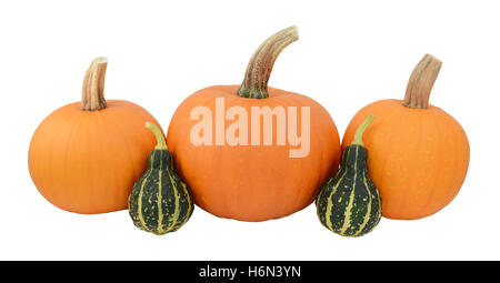 Three orange pumpkins with two green ornamental gourds, isolated on a white background Stock Photo