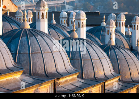 Istanbul the capital of Turkey, eastern tourist city. Stock Photo