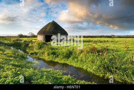 A beautiful round thatched barn on Braunton Marshes near Barnstaple in Devon Stock Photo
