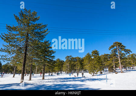 Picturesque winter landscape with snow and blue sky in Troodos Mountains on Cyprus Stock Photo