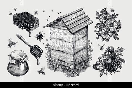 Honey, mead. Beekeeping, apiculture, bees sketch vector illustration Stock Vector