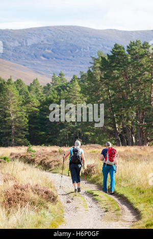 A couple using the trail at Rothiemurcus or Rothiemurcus Estate heading from Loch an Eilein to the start of Lairig Ghru hill pass in the Cairngorm Stock Photo