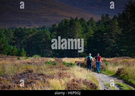 A couple using the trail at Rothiemurcus or Rothiemurcus Estate heading from Loch an Eilein to the start of Lairig Ghru hill pass in the Cairngorm Stock Photo
