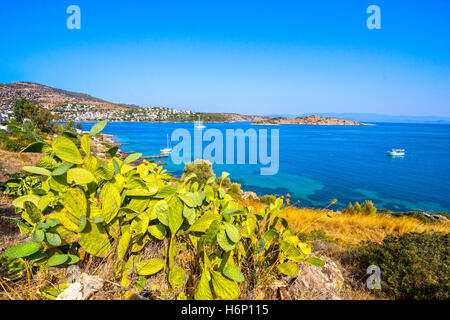 View of Bodrum Castle and Marina, Turkey Stock Photo