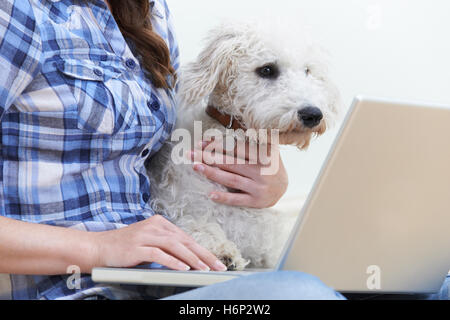 Dog Sitting Next To Owner Using Laptop Stock Photo