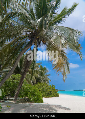 lonely tropical island Stock Photo