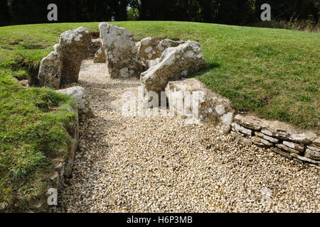 View NW from forecourt of Nympsfield Long Barrow, Gloucestershire, into an antechamber with  a constricted entrance leading to 3 burial chambers. Stock Photo