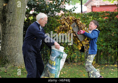 Grandfather and grandson raking autumn leaves in the garden of the family home iNorth Yorkshire , England , UK Stock Photo