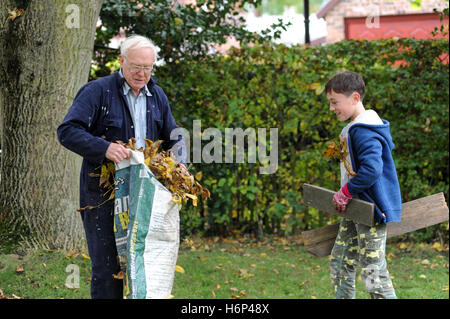 Grandfather and grandson raking autumn leaves in the garden of the family home iNorth Yorkshire , England , UK Stock Photo