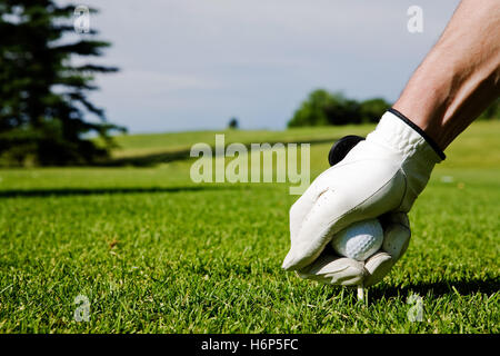 macro close-up macro admission close up view detail spare time free time leisure leisure time sport sports game tournament play Stock Photo