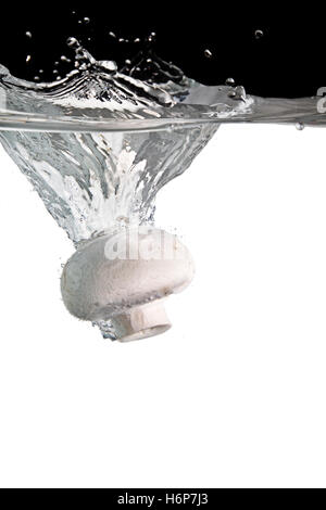 champignon in water Stock Photo