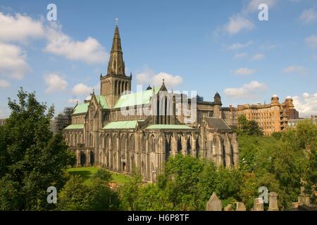 st. mungo's cathedral Stock Photo