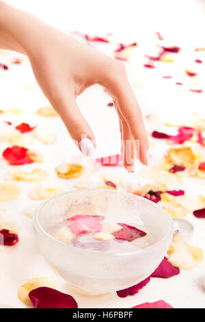 Cropped hand above bowl with petals Stock Photo