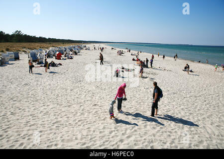 sandy beach on darÃŸ-zingst Stock Photo
