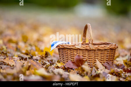Empty wicker basket on golden autumn leaves in forest. Empty basket for your products. Stock Photo