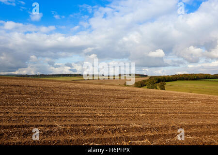 Patterns and textures in the soil of a harvested potato field on the Yorkshire wolds in autumn. Stock Photo