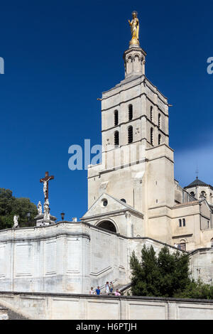The Cathedral in the city of Avignon in the department of Vaucluse on the left bank of the Rhone River in France Stock Photo