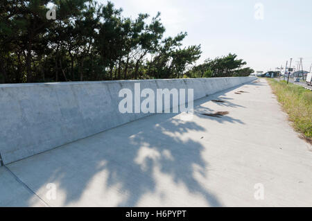 Coastal levee, Asahi City, Chiba Prefecture, Japan Stock Photo