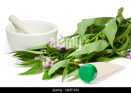 comfrey with cream tube qf Stock Photo