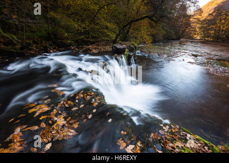 Pontneddfechan, Brecon Beacons National Park, Wales, UK . 31st October 2016. UK Weather.  Autumn colours at the Sgwd Ddwli Isaf waterfall on the river Afon Nedd Fechan in the Brecon Beacons National Park.  Photo by Graham Hunt/Alamy Live News Stock Photo