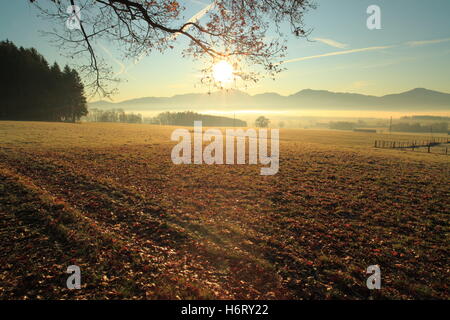 landscapes Stock Photo