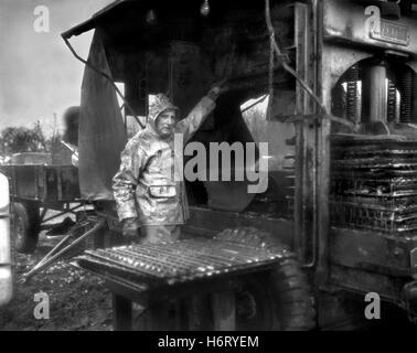 farmer making traditional cider with old press in Normandy Stock Photo