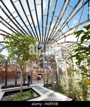 Greenhouse interior. Bombay Sapphire Distillery, Laverstoke, United Kingdom. Architect: Heatherwick, 2014. Stock Photo