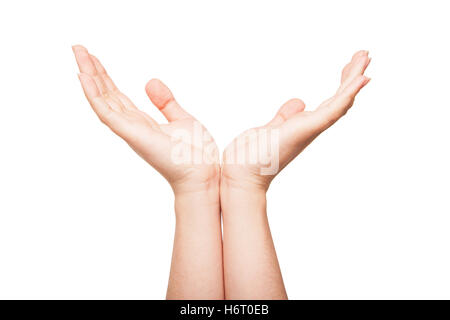 Two hands protecting something. Stock Photo
