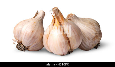 Three bulbs of garlic beside isolated on white background Stock Photo